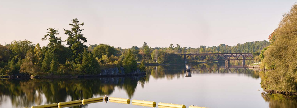 Bridge