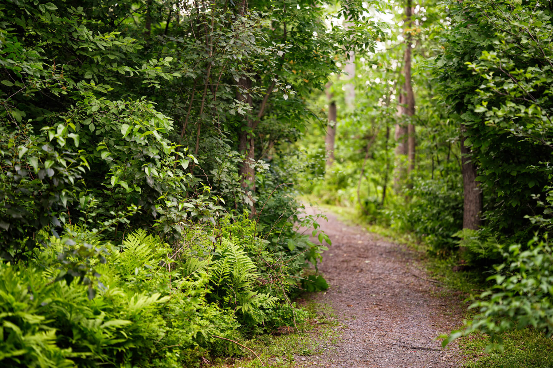 Riverwalk Manotick Gallery Image 7