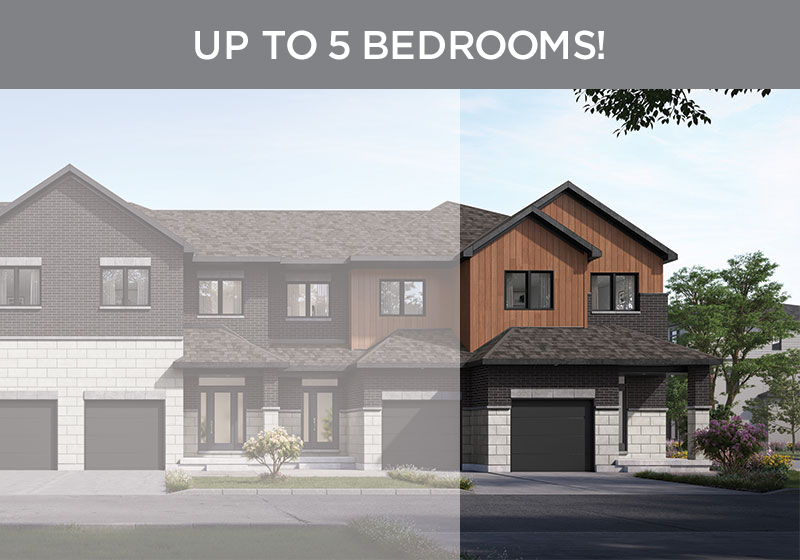 The Nova Elevation M Rendering